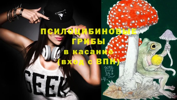 МДПВ Абдулино